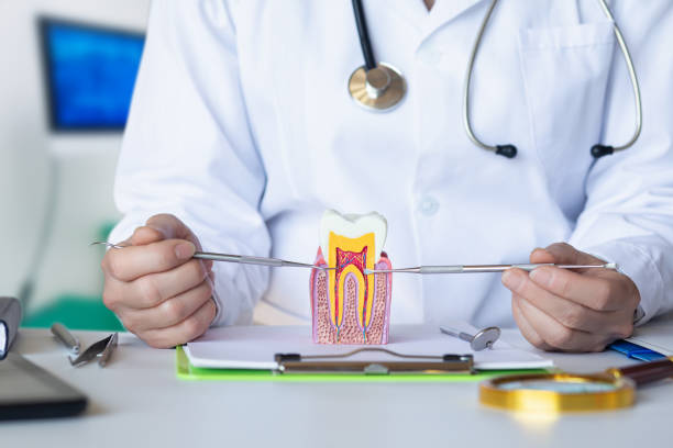 Best Cracked Tooth Emergency Dentist  in Chigan Center, MI